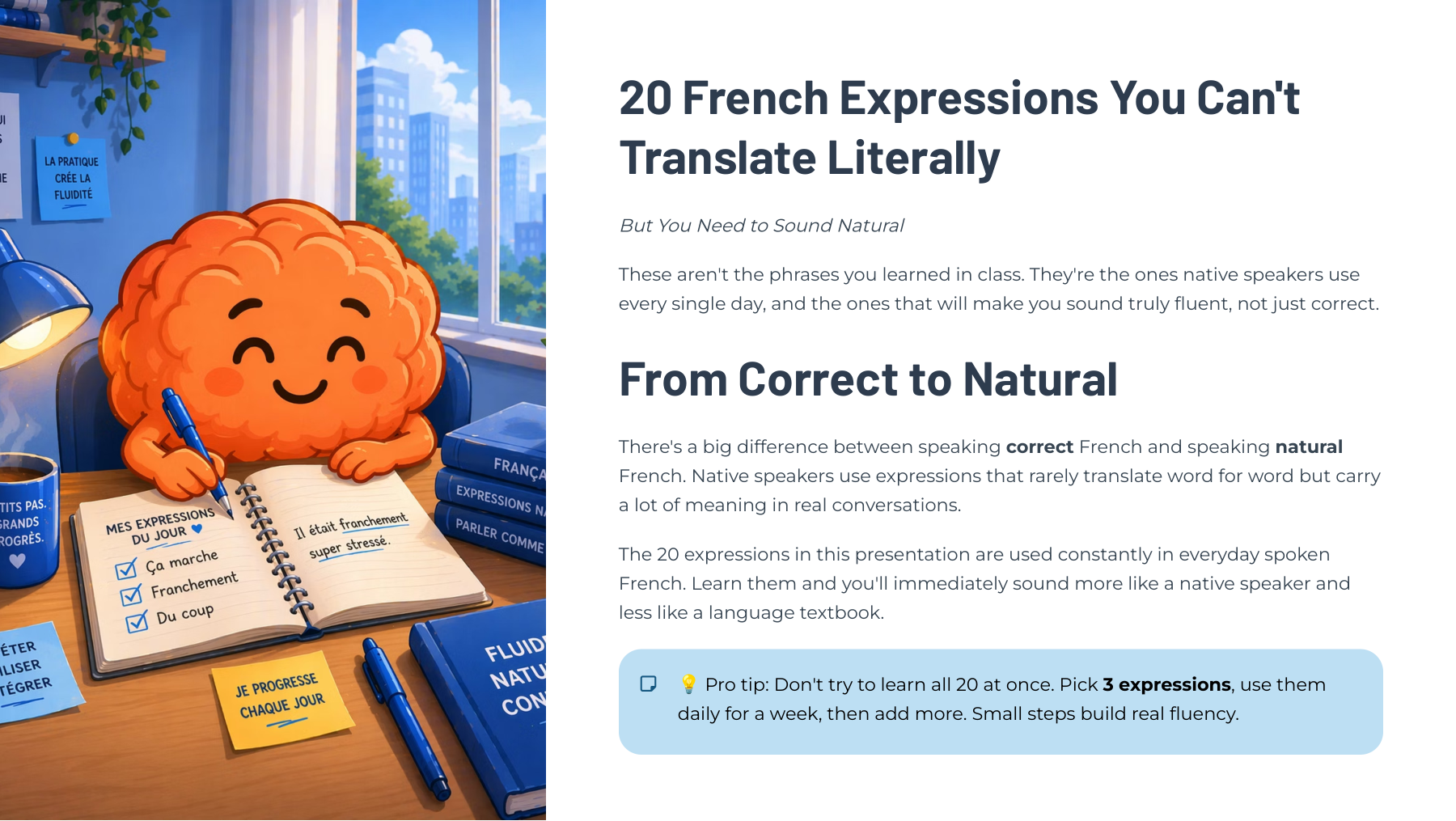 20 French expressions guide