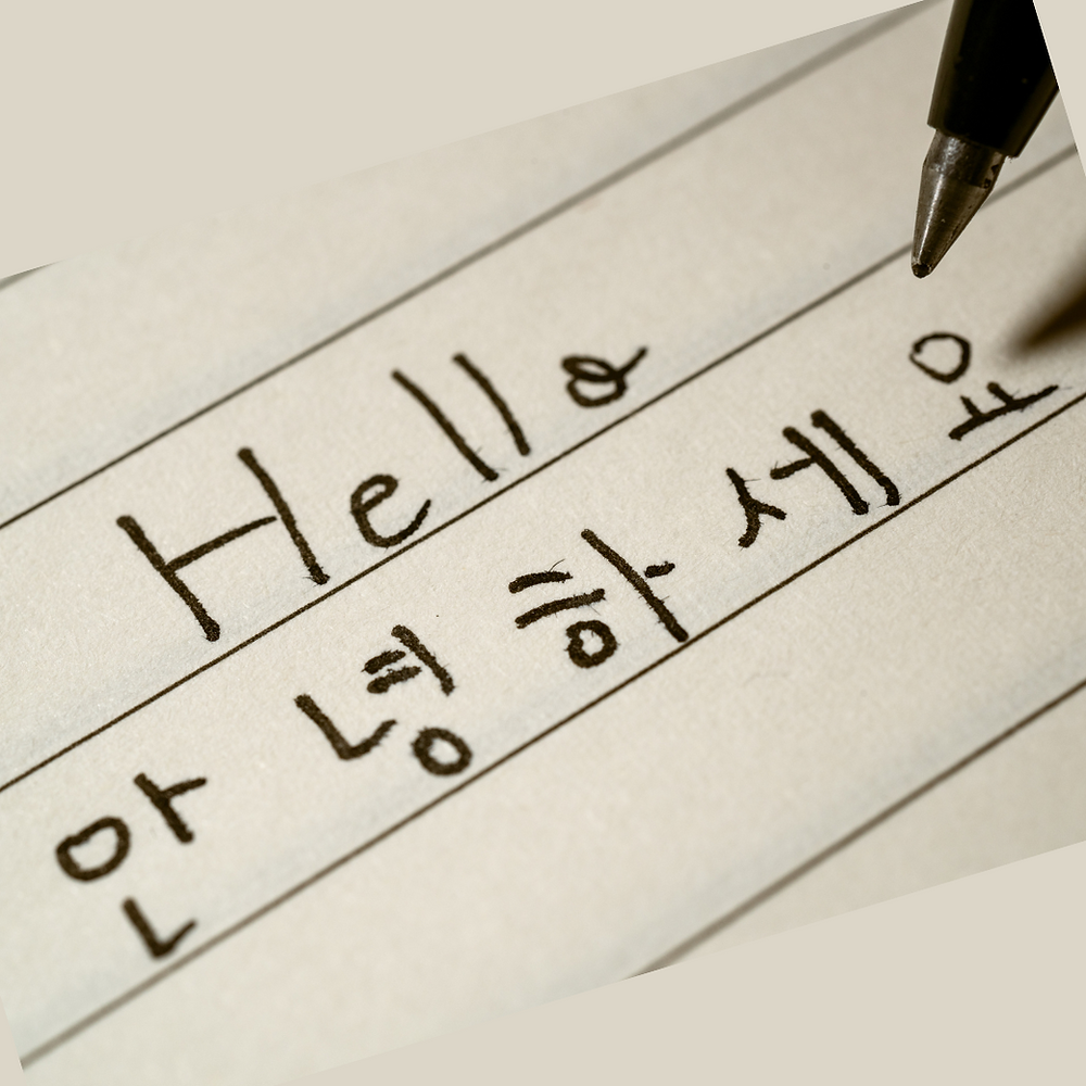 Did you know I spoke Korean?