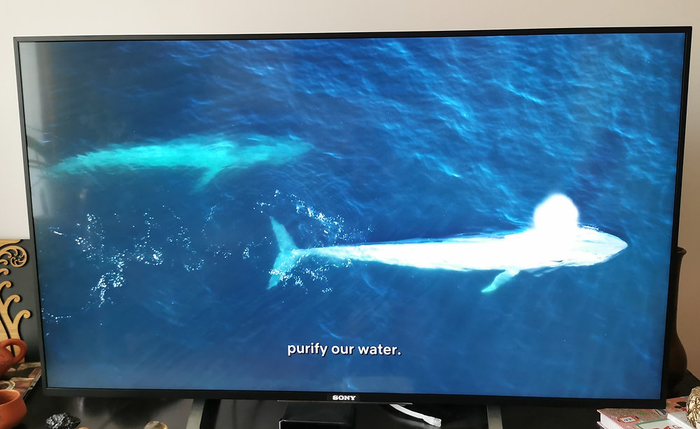 Sous-titres ou pas : telle est la question