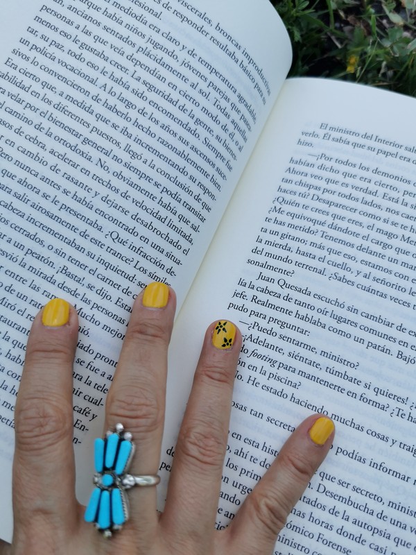 Lecture d'un livre en espagnol